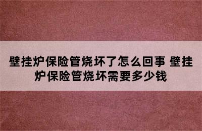 壁挂炉保险管烧坏了怎么回事 壁挂炉保险管烧坏需要多少钱